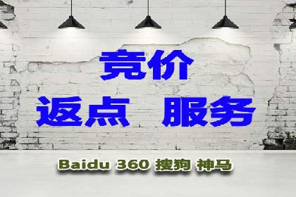 SEM代运营服务公司成功案例解析